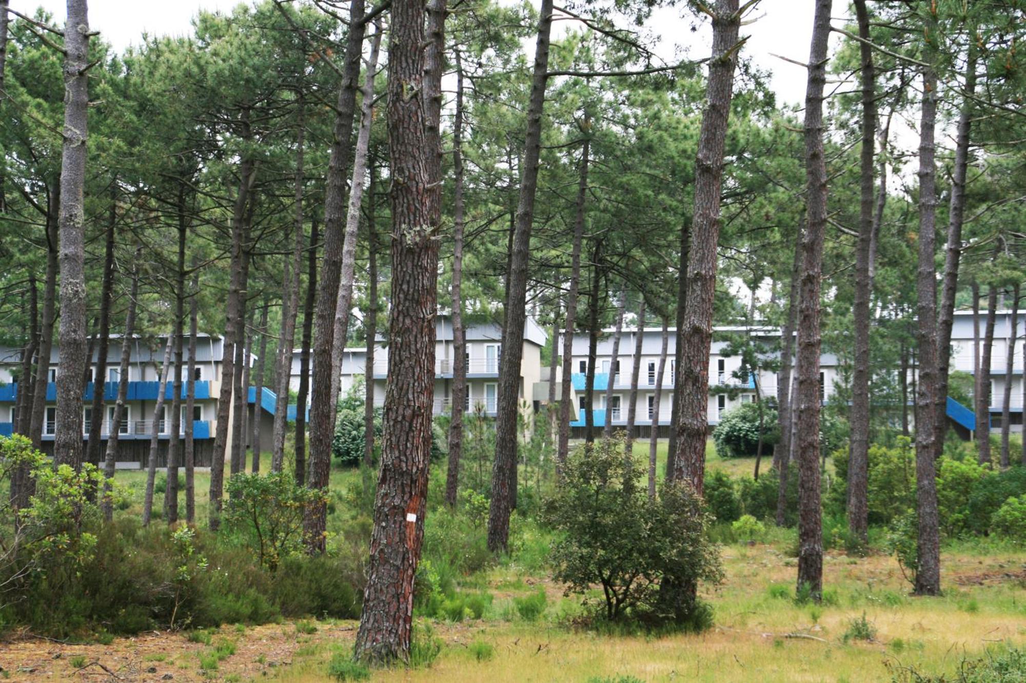 Village Vacances Les Dunes - Domaine De Bombannes Carcans Exteriér fotografie